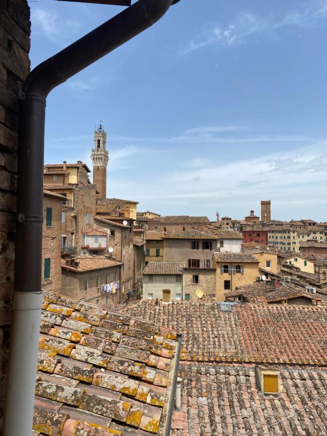La Finestra Sulla Torre *